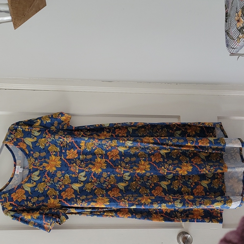 Like New LulaRoe Carly